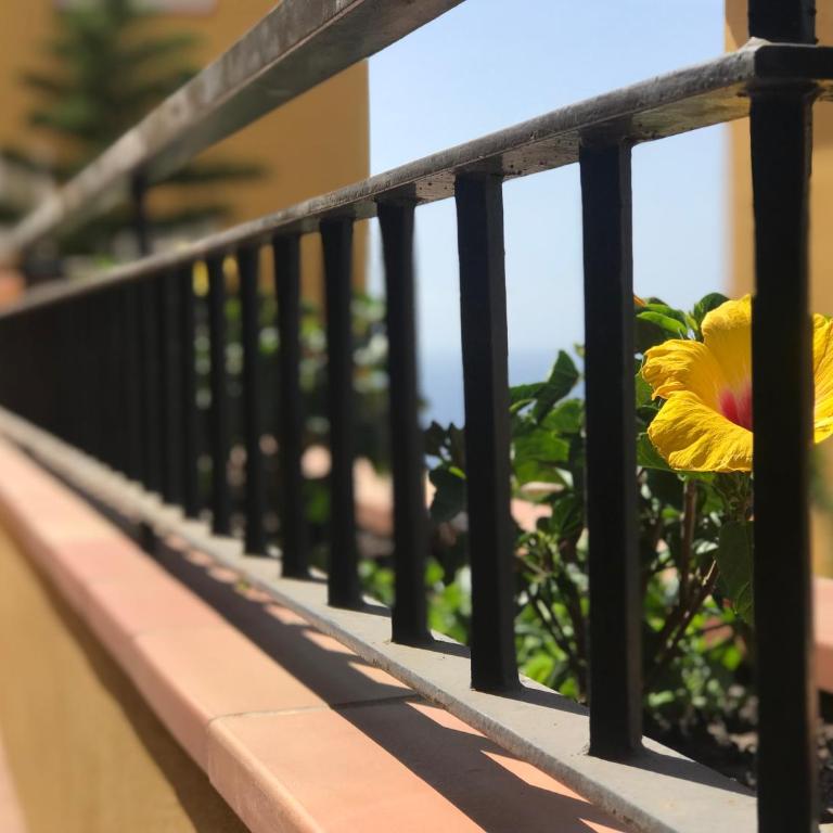 Apartamento de lujo en Puerto Santiago - Apartamento Deluxe - 10