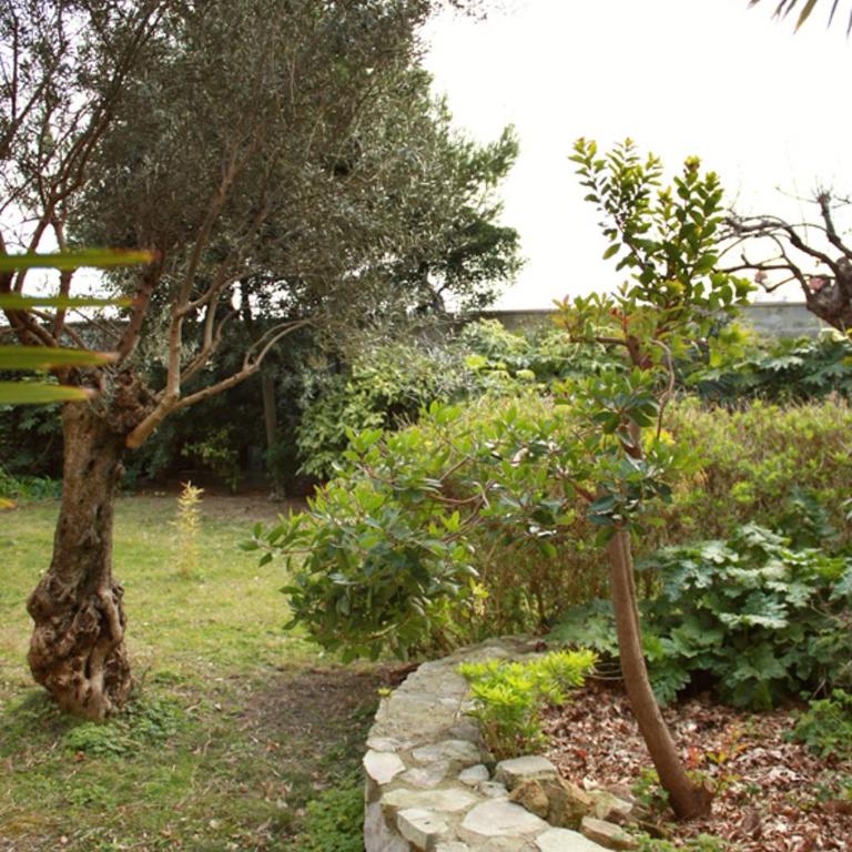 Villa Matilde - Appartamentino su 2 Livelli - 19