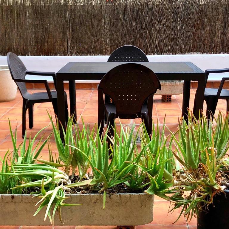 El Jardín de Verónica - Apartamento con terraza - 15