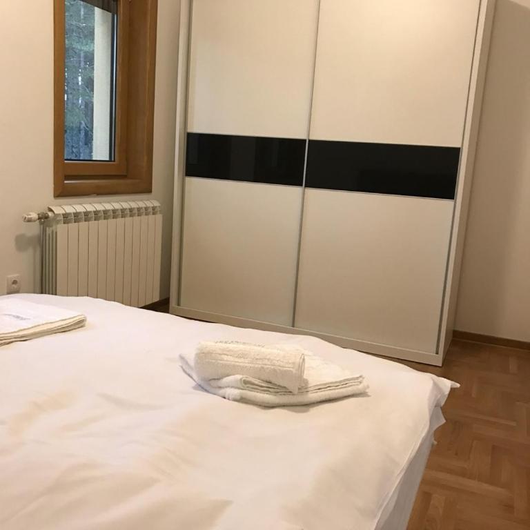 Zlatibor apartmani Jakovljevic - Apartman sa Terasom - 20