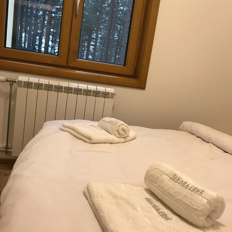 Zlatibor apartmani Jakovljevic - Apartman sa Terasom - 19