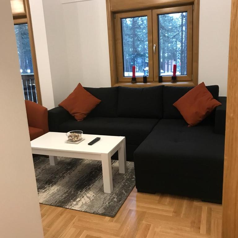 Zlatibor apartmani Jakovljevic - Apartman sa Terasom - 19