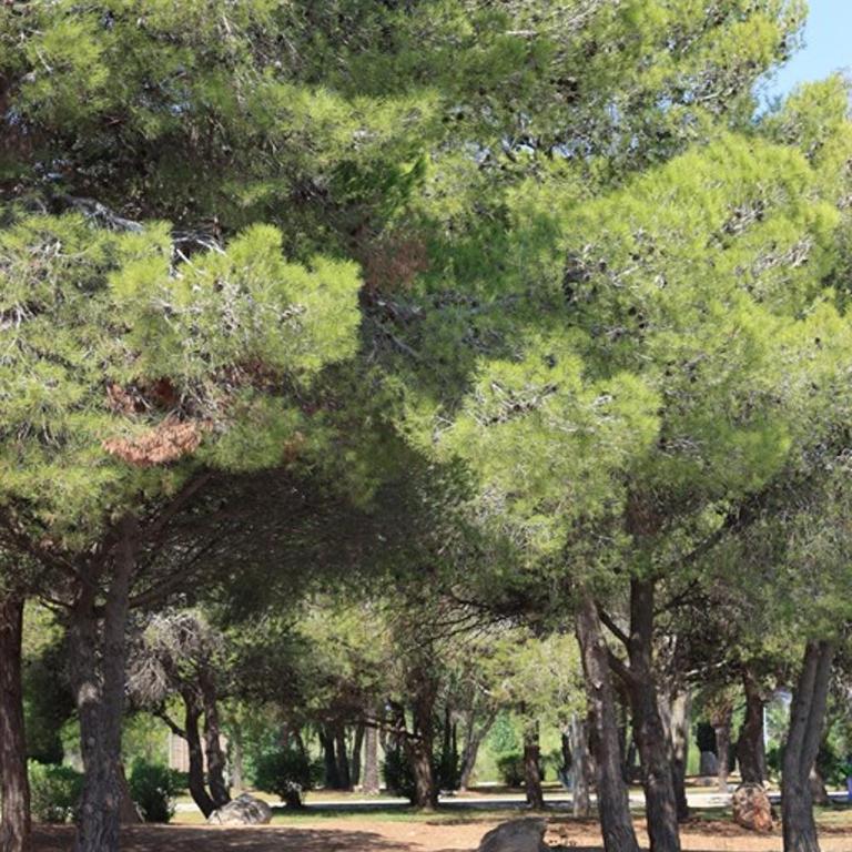 Casa Mireia i Paula - Casa - 27