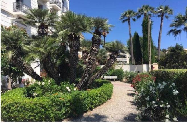 Winter Palace Cannes - Appartement avec Terrasse - 6