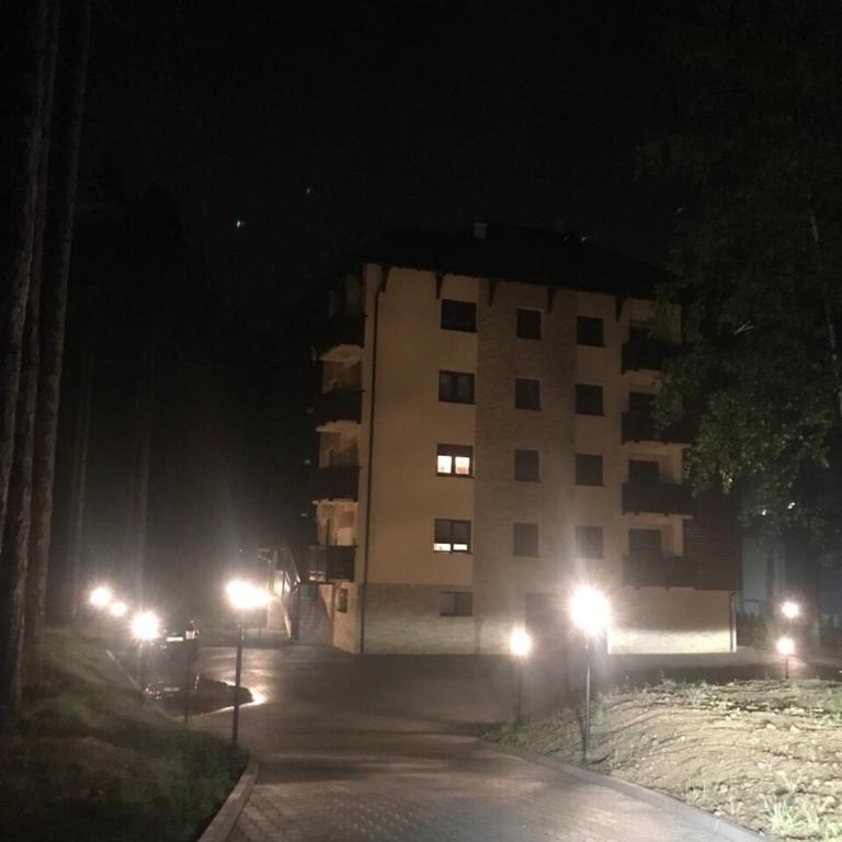 Zlatibor apartmani Jakovljevic - Apartman sa Terasom - 2