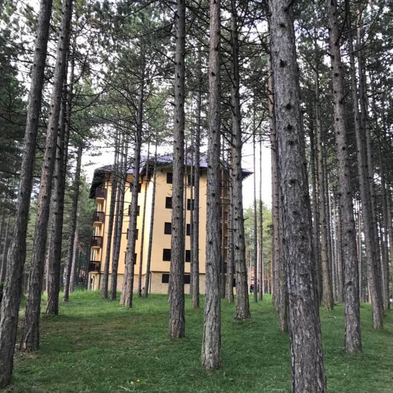 Zlatibor apartmani Jakovljevic - Apartman sa Terasom - 5