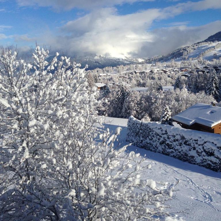 Appartement Hameau des Pistes - Ski-in and Ski-out - Appartamento con Vista Montagna - 21