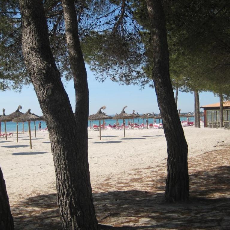 Beach Apartment Minerva - Apartamento con vistas al mar - 1