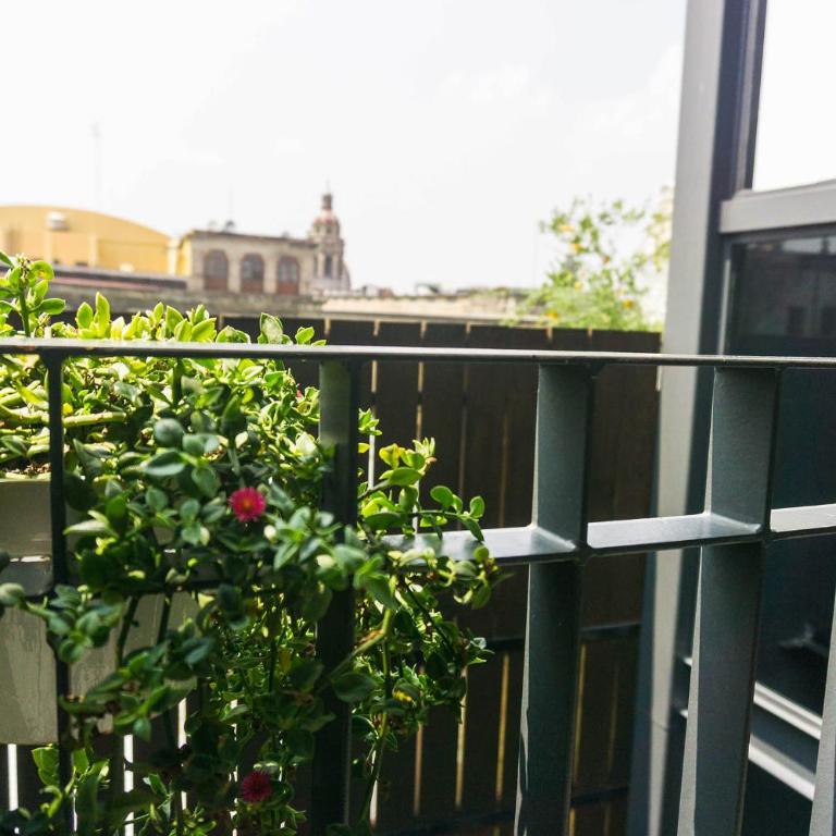 MyPlace Zocalo - Apartment with Balcony - 15