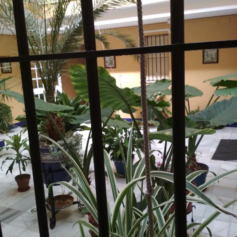 Two Bedrooms Leonor Davalos 2 - Apartamento - Planta baja - 1