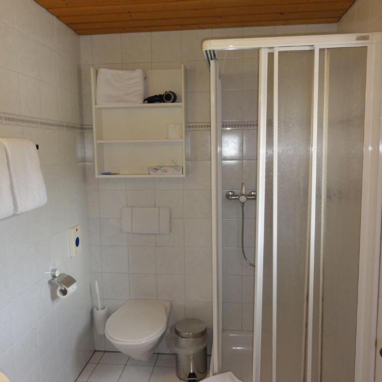 Hotel Steinbock Grindelwald - Doppelzimmer - 8