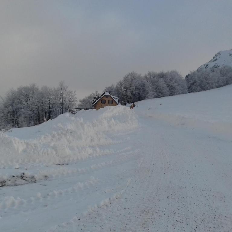 Vikendica Vila Despotovic - Villa - 62
