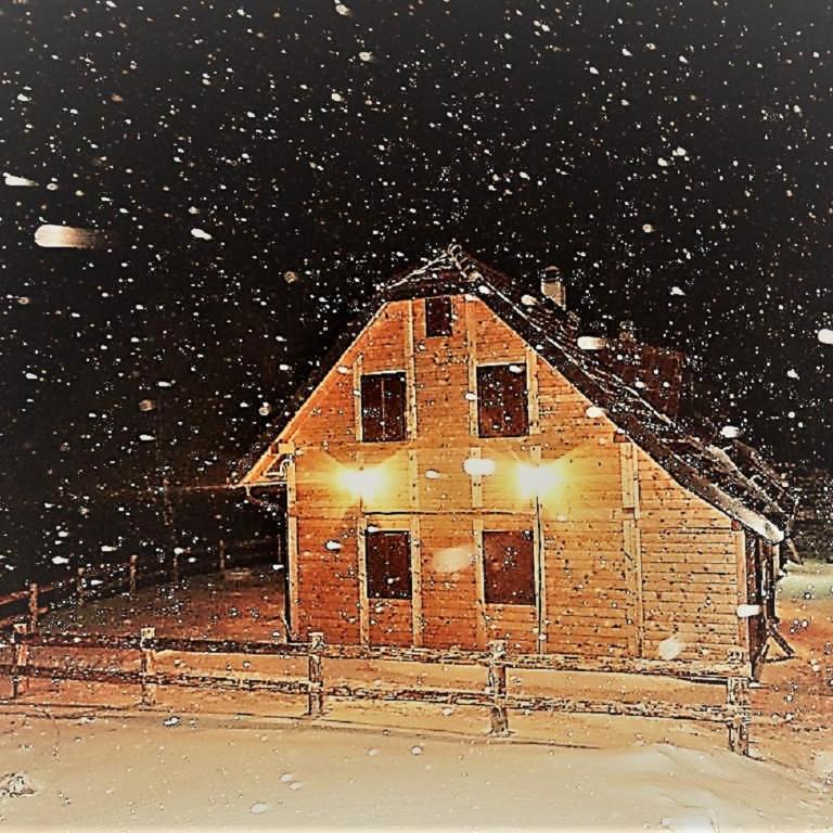 Vikendica Vila Despotovic - Villa - 60