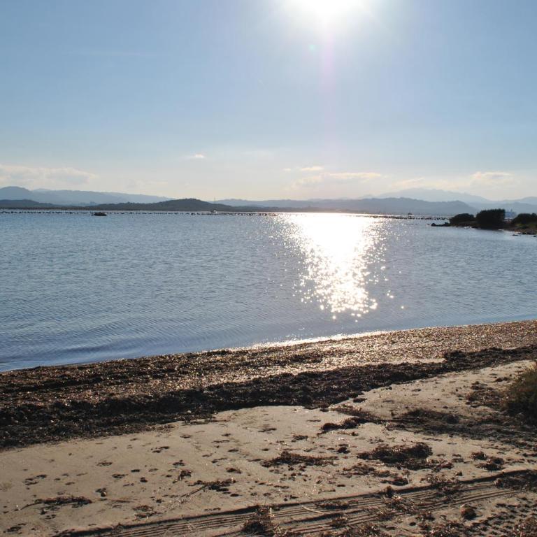 Sardegna Pittulongu - Appartamento - 13
