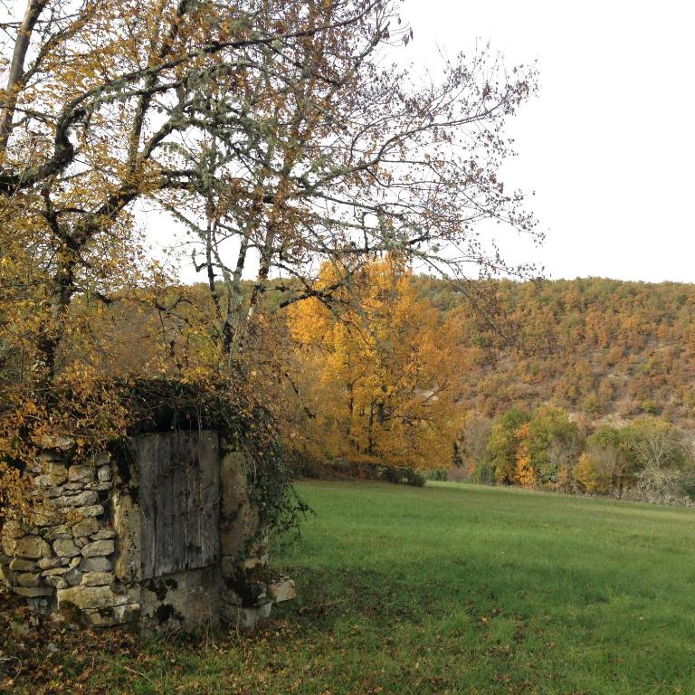 Le Domaine des Ramonets - Maison 3 Chambres - 19