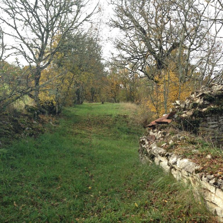 Le Domaine des Ramonets - Maison 3 Chambres - 18