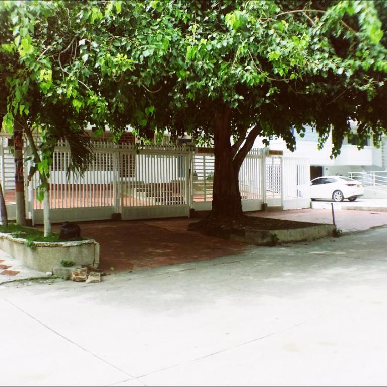 QuillaHost Tropical Apartment - Apartamento de 1 dormitorio - 63
