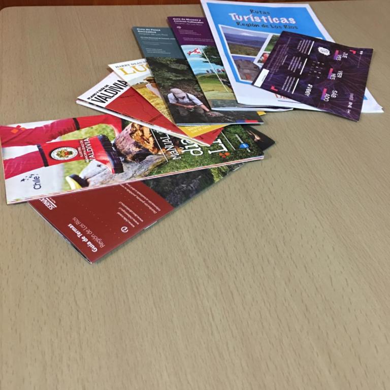 Pyramidal Park Valdivia - Chalet - 20