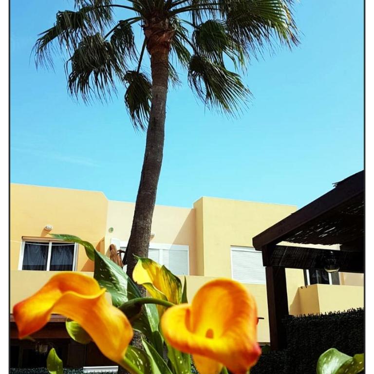 Lur de la playa - Apartamento - 37