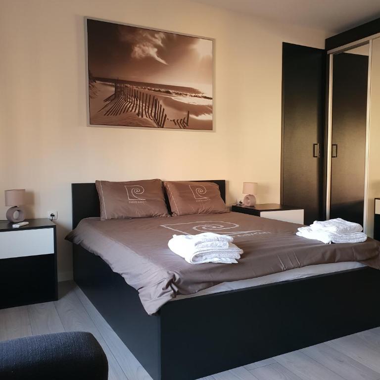 Z&N luxury Belgrade appartment - city center - Deluks Apartman - 4