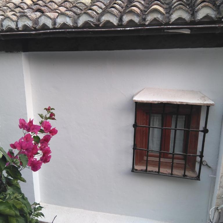 Casa-Mirador La Alhacena - Apartment with Terrace - 27