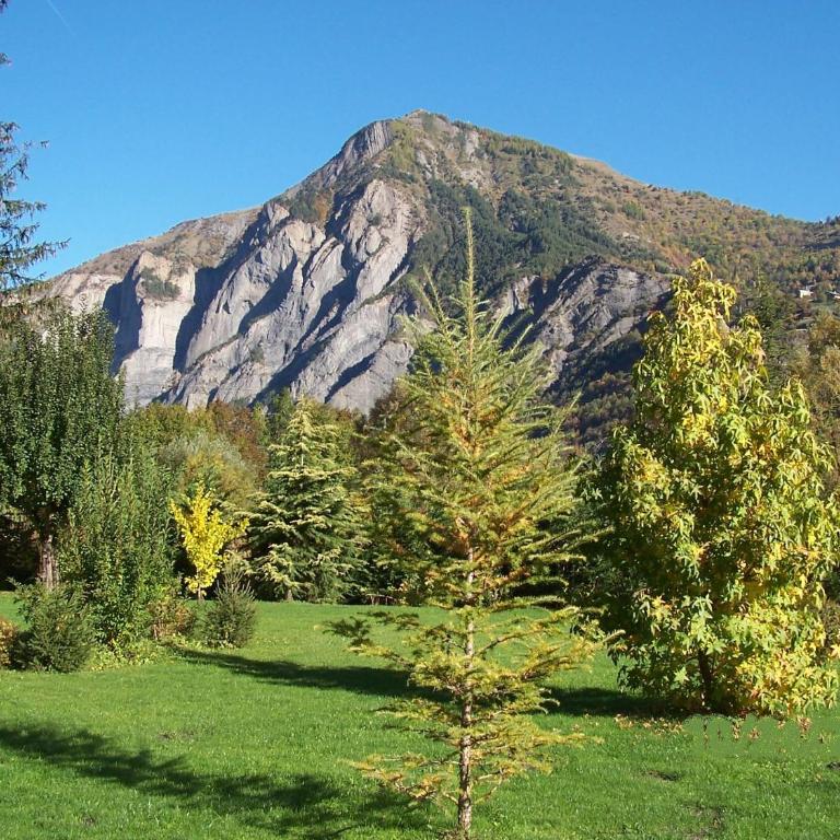 Le Chalet Carpe Diem - Appartement - Vue sur Jardin (2-4 Personnes) - 13