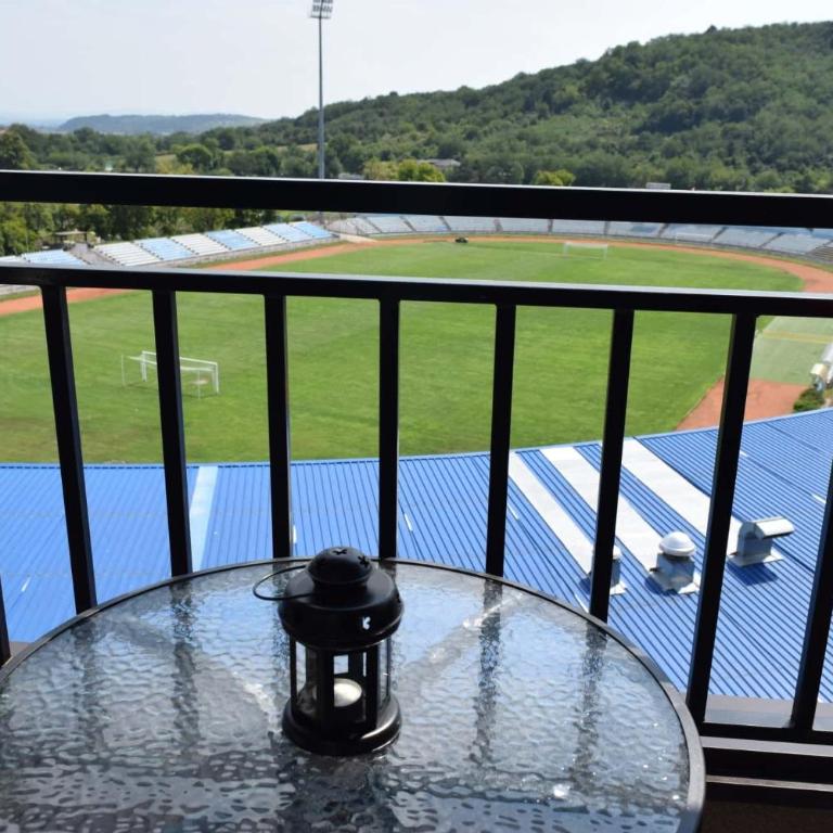 S-Apartmani Cocetova - Apartman sa Terasom - 6