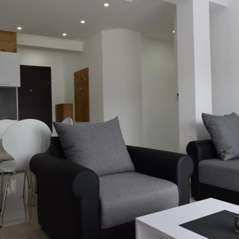 S-Apartmani Jagodina - Apartman sa Terasom - 7