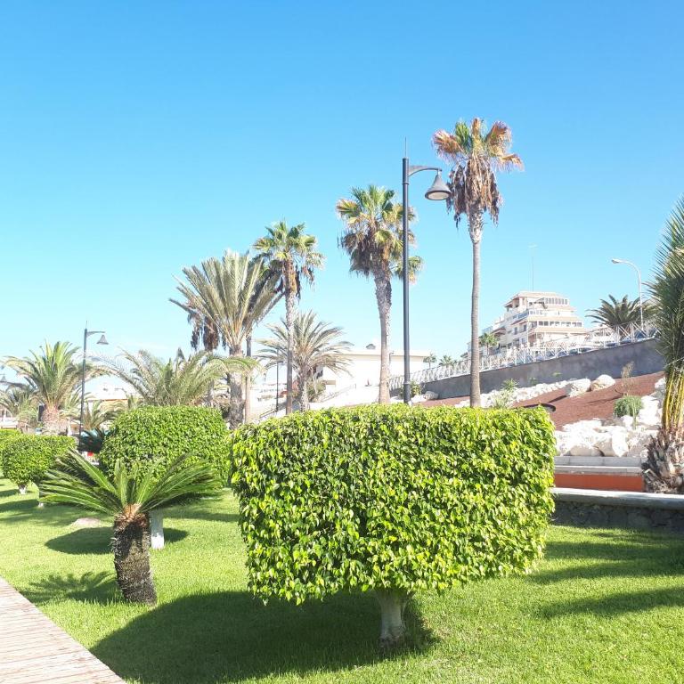 Playa De Las Vistas - Apartamento con vistas al mar - 48