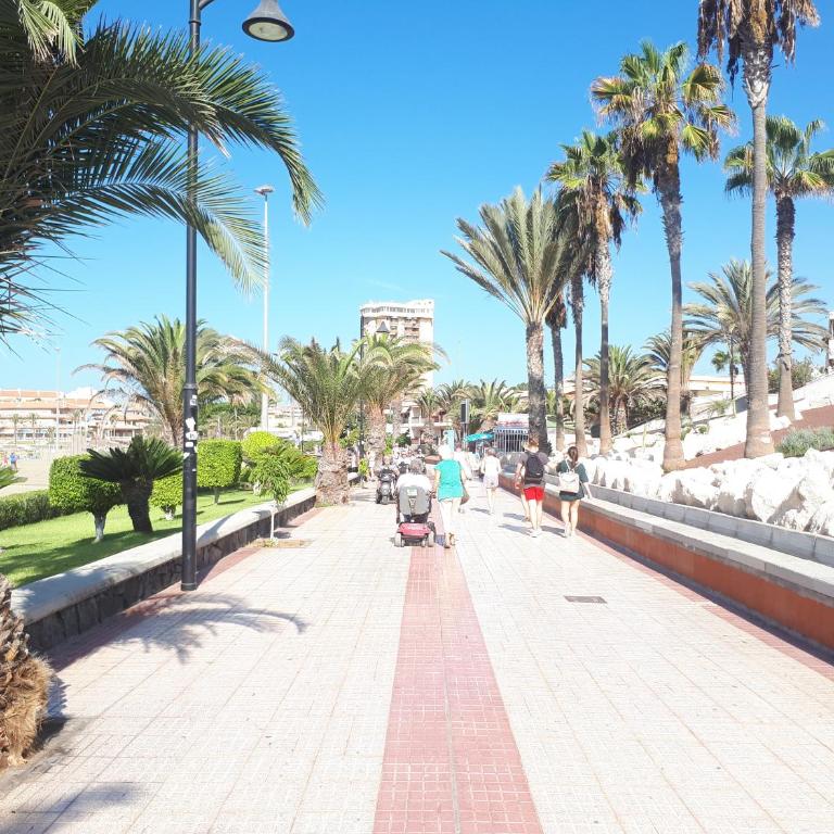 playa honda luxury - Apartamento - 44
