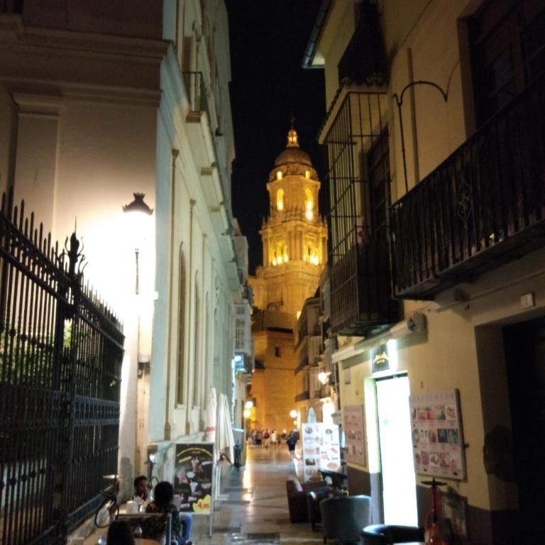 Málaga Peña Historical Centre Apartment - Apartamento - 30