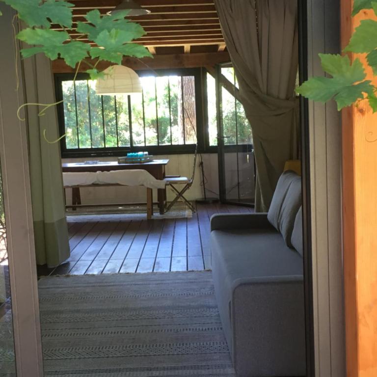 la maison face au port - Appartement - Vue sur Jardin - 17