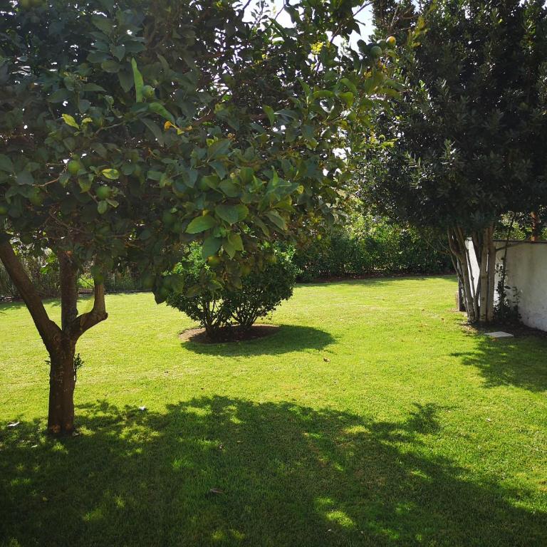 Villa Las Rosas - Villa con 4 Camere da Letto e Piscina Privata - 34