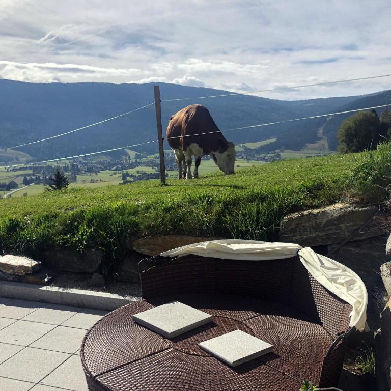Sonnseite - Apartment mit Blick auf die Berge - 17