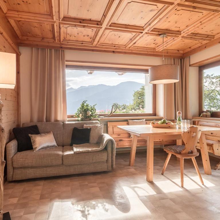 Appartements Kerschbaumer - Appartamento con 1 Camera da Letto - 3