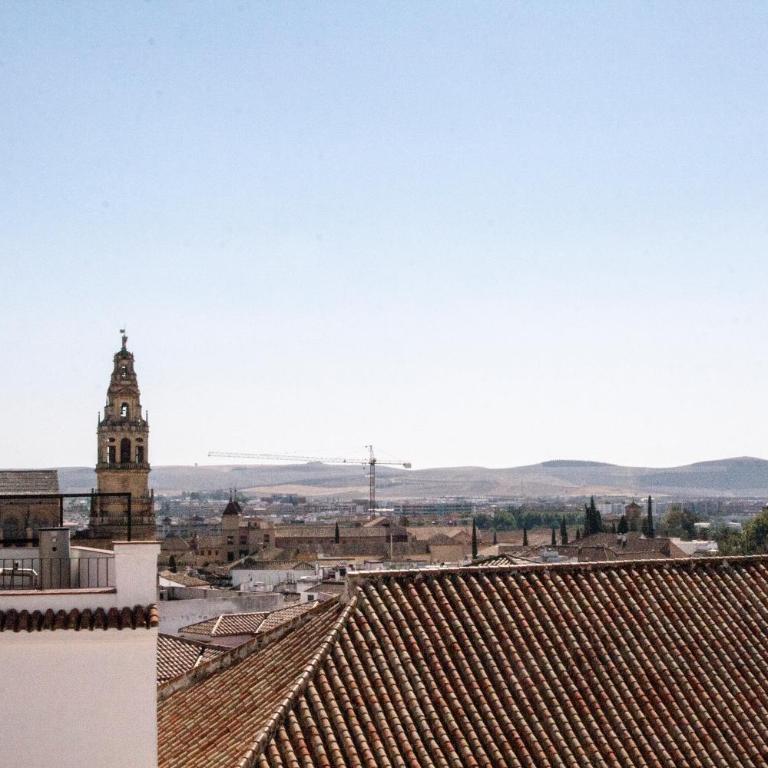 El Mirador de la Judería - Apartamento con terraza - 22