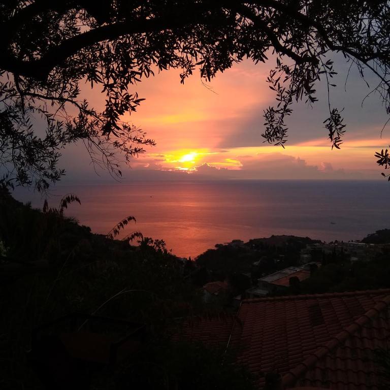 VILLA ZEN TAORMINA - Camera Matrimoniale/Doppia con Letti Singoli con Vista Mare - 38