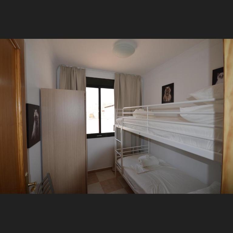 Calle Cinteria - Apartment - 6