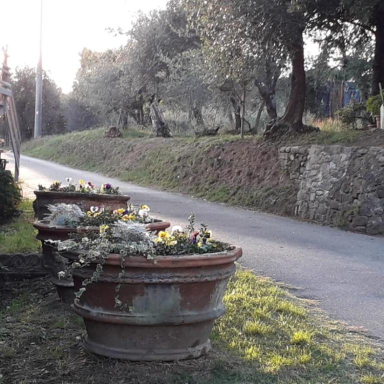 Ai Bastiani - Casa Vacanze - 34