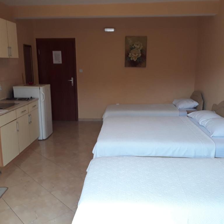 Apartmani Lekovic Sutomore - Studio Apartman - 3