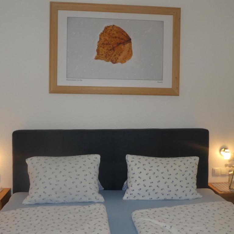 Appartements Pfausler - Apartment - 6