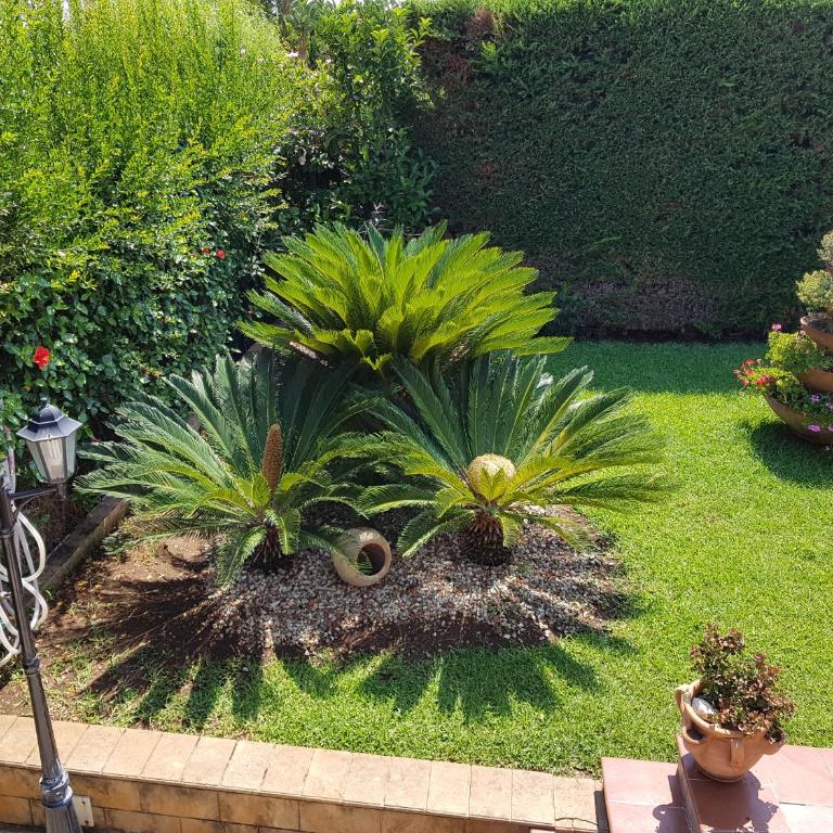 Villa Vera - Casa con 3 Camere da Letto - 13