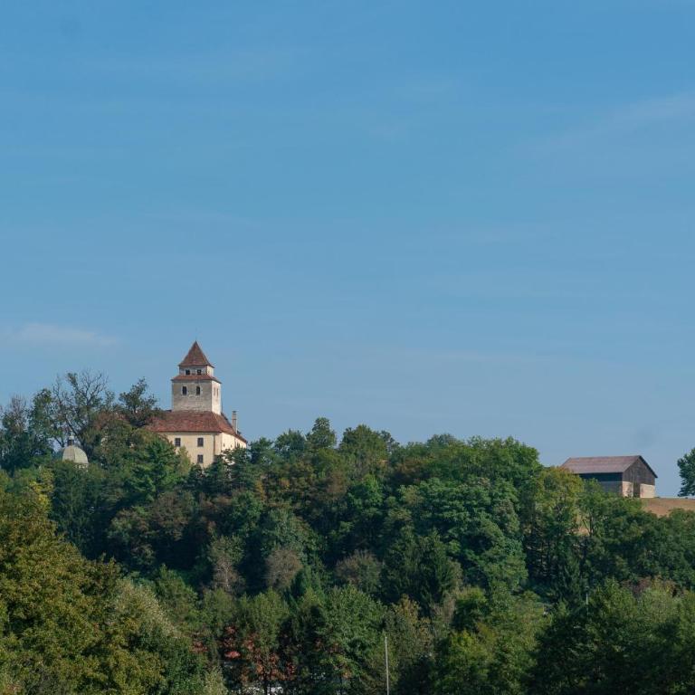 Villa zur Schmied'n - Appartement - 6