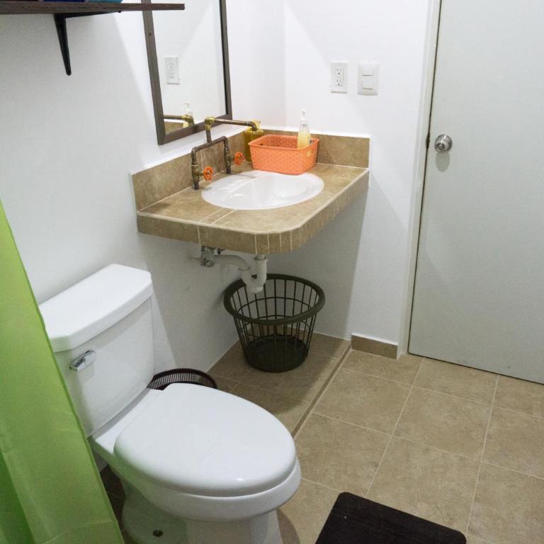 Hacienda bambú - King Suite - 6