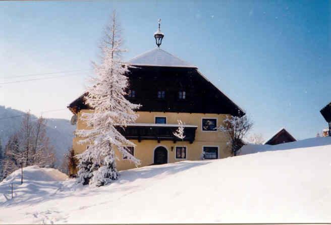 Kiblerhof - Apartment mit Blick auf die Berge - 50