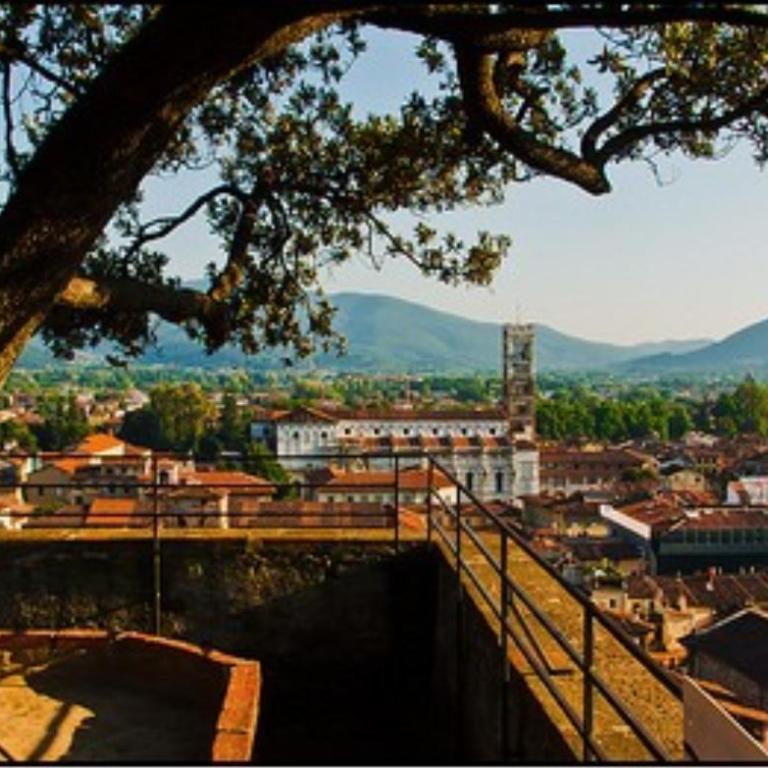 Le Melodie Di Lucca - Casa Vacanze - 22