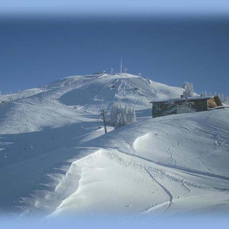 Bauernhof Mödling - Apartment mit Blick auf die Berge - 12