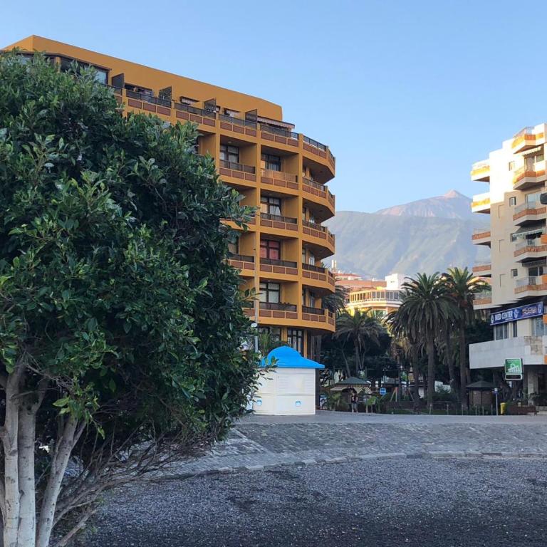Céntrico y coqueto apartamento - Apartamento con vistas al mar - 20