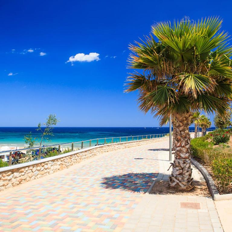Penthouse 2 bedrooms in Mil Palmeras - Apartamento - 40