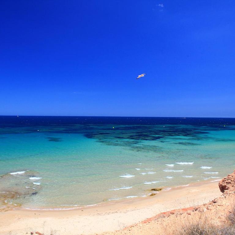 Penthouse 2 bedrooms in Mil Palmeras - Apartamento - 39